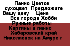 Панно Цветок - сухоцвет. Предложите Вашу цену! › Цена ­ 4 000 - Все города Хобби. Ручные работы » Картины и панно   . Хабаровский край,Николаевск-на-Амуре г.